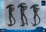 Hot Toys Aliens Alien Warrior Deluxe Version 1/6 Actionfigur