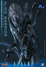 Hot Toys Aliens Alien Warrior Deluxe Version 1/6 Actionfigur