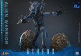 Hot Toys Aliens Alien Warrior Deluxe Version 1/6 Actionfigur
