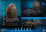 Hot Toys Aliens Alien Warrior Deluxe Version 1/6 Actionfigur