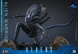 Hot Toys Aliens Alien Warrior Deluxe Version 1/6 Actionfigur