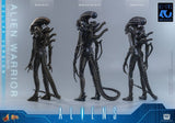 Hot Toys Aliens Alien Warrior Deluxe Version 1/6 Actionfigur