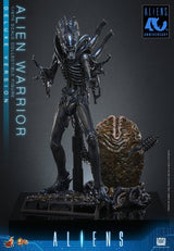 Hot Toys Aliens Alien Warrior Deluxe Version 1/6 Actionfigur