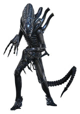 Hot Toys Aliens Warrior 1/6 Actionfigur