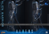 Hot Toys Aliens Warrior 1/6 Actionfigur