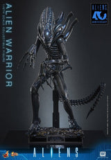 Hot Toys Aliens Warrior 1/6 Actionfigur