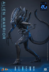 Hot Toys Aliens Warrior 1/6 Actionfigur
