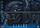 Hot Toys Aliens Warrior 1/6 Actionfigur