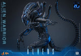 Hot Toys Aliens Warrior 1/6 Actionfigur