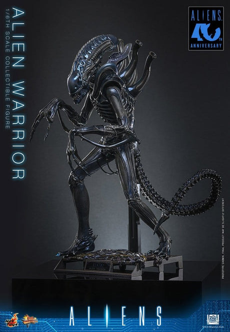 Hot Toys Aliens Warrior 1/6 Actionfigur