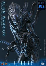 Hot Toys Aliens Warrior 1/6 Actionfigur