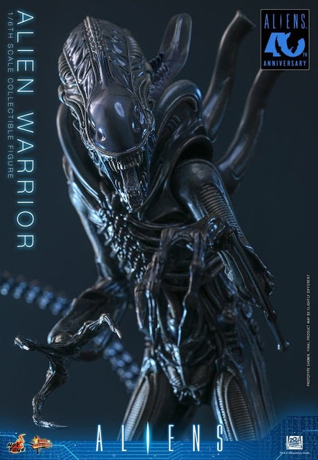 Hot Toys Aliens Warrior 1/6 Actionfigur