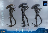 Hot Toys Aliens Warrior 1/6 Actionfigur
