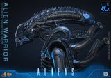 Hot Toys Aliens Warrior 1/6 Actionfigur