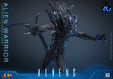 Hot Toys Aliens Warrior 1/6 Actionfigur
