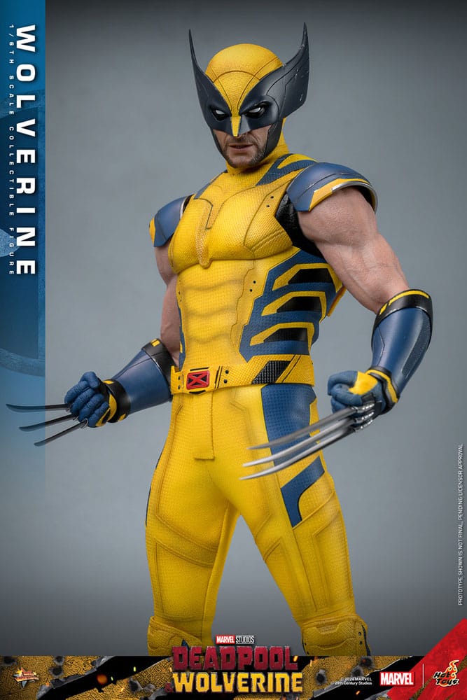 Hot Toys Deadpool & Wolverine Wolverine 1/6 Actionfigur