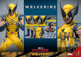 Hot Toys Deadpool & Wolverine Wolverine 1/6 Actionfigur