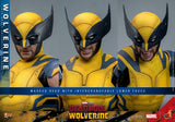 Hot Toys Deadpool & Wolverine Wolverine 1/6 Actionfigur