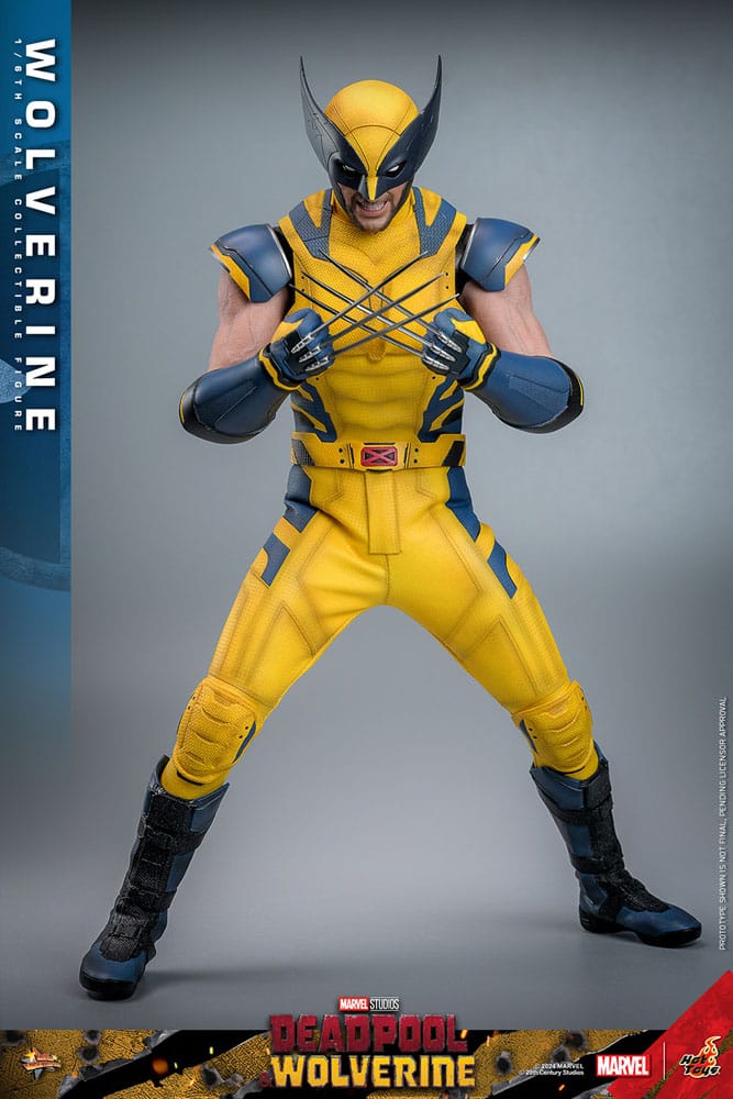 Hot Toys Deadpool & Wolverine Wolverine 1/6 Actionfigur