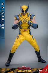 Hot Toys Deadpool & Wolverine Wolverine 1/6 Actionfigur