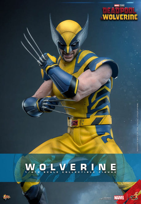 Hot Toys Deadpool & Wolverine Wolverine 1/6 Actionfigur