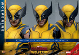 Hot Toys Deadpool & Wolverine Wolverine (Deluxe Version) 1/6 Actionfigur