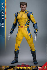 Hot Toys Deadpool & Wolverine Wolverine (Deluxe Version) 1/6 Actionfigur
