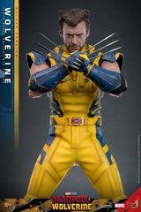 Hot Toys Deadpool & Wolverine Wolverine (Deluxe Version) 1/6 Actionfigur