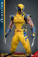Hot Toys Deadpool & Wolverine Wolverine (Deluxe Version) 1/6 Actionfigur
