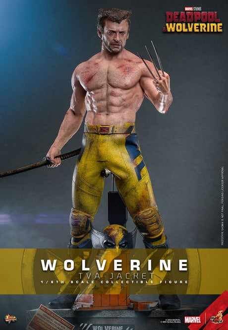 Hot Toys Deadpool & Wolverine Wolverine (TVA Jacket Version) 1/6 Actionfigur