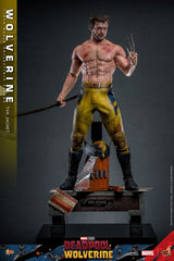 Hot Toys Deadpool & Wolverine Wolverine (TVA Jacket Version) 1/6 Actionfigur