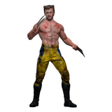 Hot Toys Deadpool & Wolverine Wolverine (TVA Jacket Version) 1/6 Actionfigur