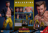 Hot Toys Deadpool & Wolverine Wolverine (TVA Jacket Version) 1/6 Actionfigur