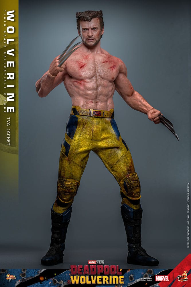 Hot Toys Deadpool & Wolverine Wolverine (TVA Jacket Version) 1/6 Actionfigur