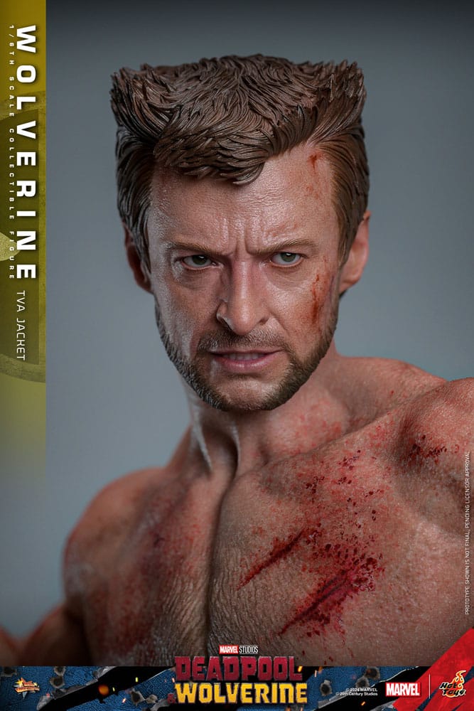 Hot Toys Deadpool & Wolverine Wolverine (TVA Jacket Version) 1/6 Actionfigur