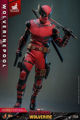 Hot Toys Deadpool & Wolverine Wolverinepool Hot Toys Exclusive 1/6 Actionfigur
