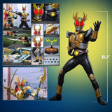 Hot Toys Kamen Rider Agito 1/6 Actionfigur