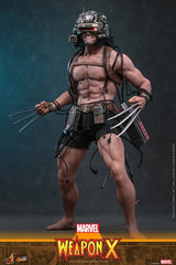 Hot Toys Marvel Comic Masterpiece Weapon X 1/6 Actionfigur
