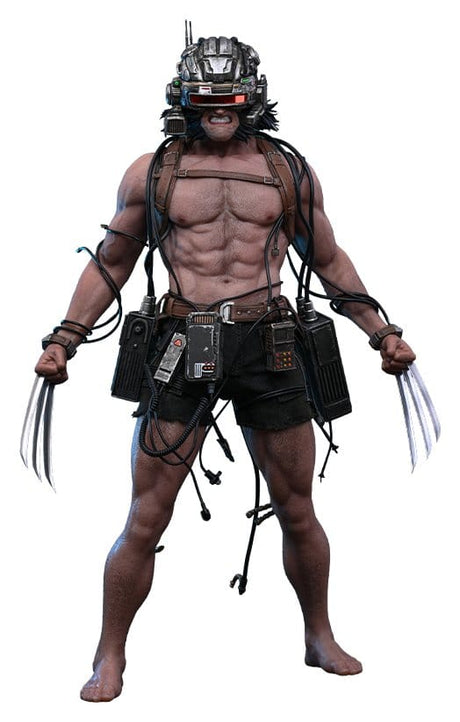 Hot Toys Marvel Comic Masterpiece Weapon X 1/6 Actionfigur