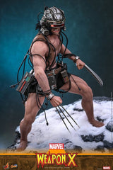 Hot Toys Marvel Comic Masterpiece Weapon X 1/6 Actionfigur