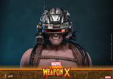 Hot Toys Marvel Comic Masterpiece Weapon X 1/6 Actionfigur