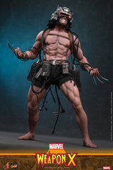 Hot Toys Marvel Comic Masterpiece Weapon X 1/6 Actionfigur