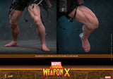 Hot Toys Marvel Comic Masterpiece Weapon X 1/6 Actionfigur