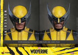 Hot Toys Marvel Video Game Masterpiece Wolverine (Deluxe Version) 1/6 Actionfigur