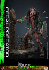 Hot Toys Prey Actionfigur 1/6 Feral Predator (Battle Damaged Version) 37 cm
