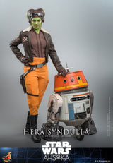 Hot Toys Star Wars Ahsoka Hera Syndulla 1/6 Actionfigur