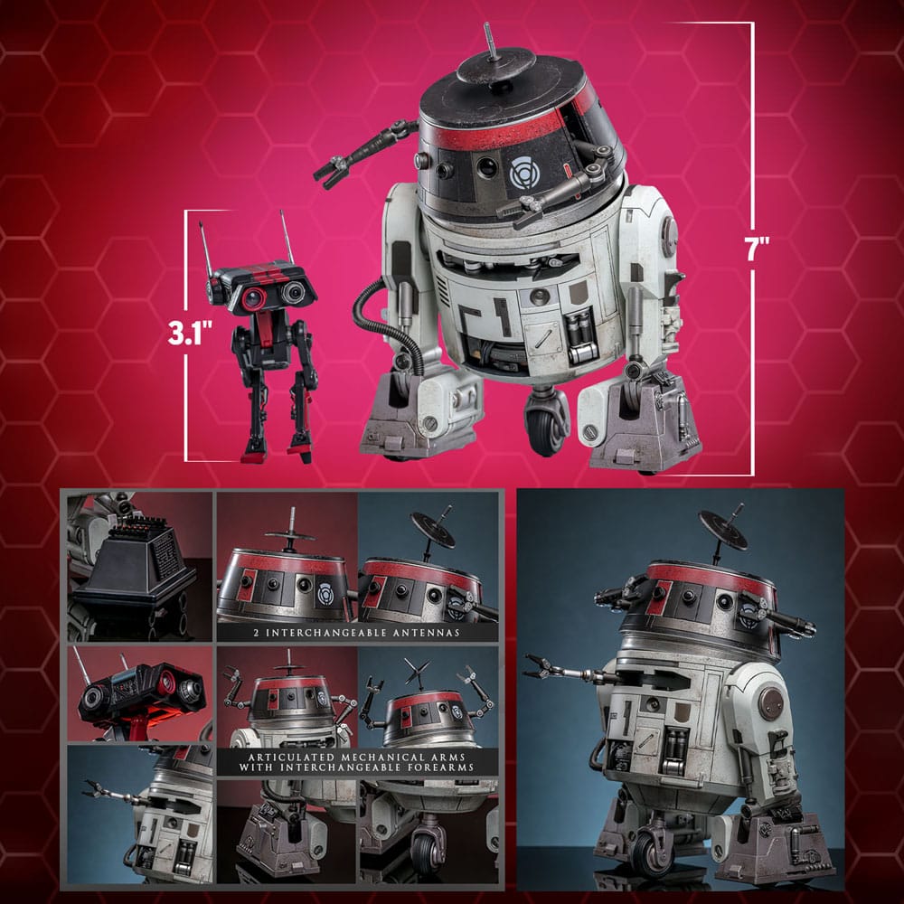 Hot Toys Star Wars Chopper (C1-10P) & BD-1 (Imperial Disguise) Set 1/6 Actionfigur