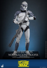 Hot Toys Star Wars Clone Wars 104th Wolfpack Clone Trooper Deluxe Version 1/6 Actionfigur