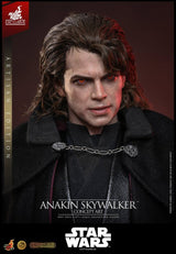 Hot Toys Star Wars Episode III Die Rache der Sith Anakin Skywalker (Artisan Edition) (Concept Art Version) Hot Toys