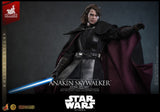 Hot Toys Star Wars Episode III Die Rache der Sith Anakin Skywalker (Artisan Edition) (Concept Art Version) Hot Toys